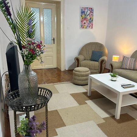 Nf'S Home Lovely Apartment In Heart Of Sarajevo SJJ Exterior photo