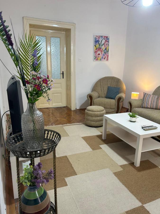 Nf'S Home Lovely Apartment In Heart Of Sarajevo SJJ Exterior photo